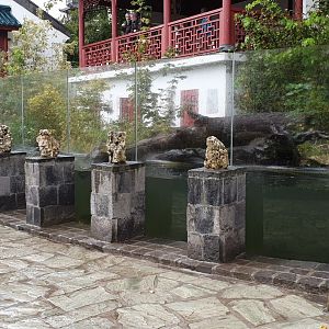 Enclosure Giant otter