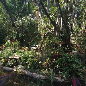 Black-tufted Marmoset Exhibit
