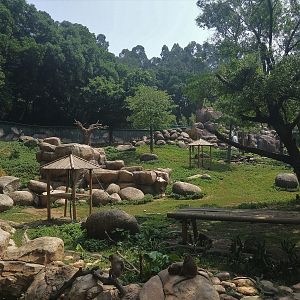 Rhesus Macaque Exhibit