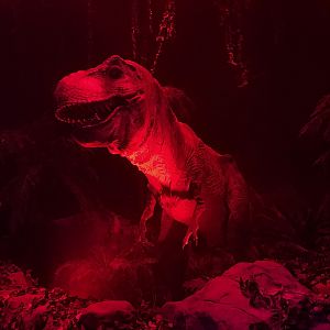 T-Rex Animatronic