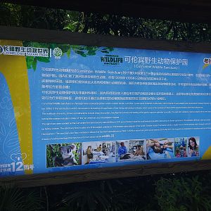 Currumbin Signage