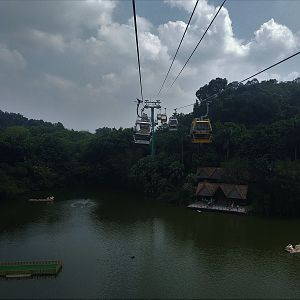 Cable Car over Lake, with Pelicans