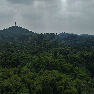 View from Cable Car towards Cable Car