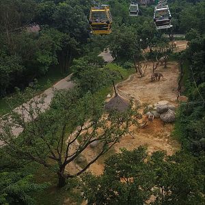 Asian Elephant Exhibit, seen from Cable Car