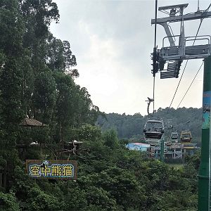 Giant Panda Exhibit, seen from Cable Car