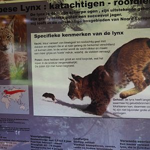 Eurasian lynx signage, 2019-08-04