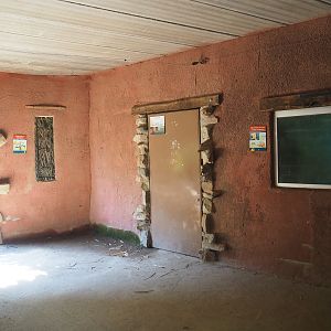 View into Central African leopard indoor holding, 2019-08-04