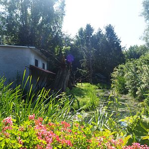 Black-and-white ruffed lemur island and house, 2019-08-04