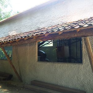 Black-and-white ruffed lemur house, 2019-08-04