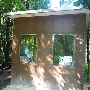 Striped hyena shack, 2019-08-04