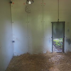 Striped hyena den, 2019-08-04