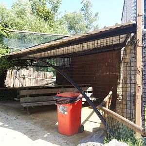 Caracal and Black-and-white ruffed lemur viewing area, 2019-08-04