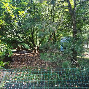 Empty exhibit, 2019-08-04