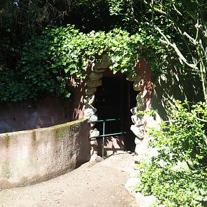 Naff African crested porcupine house, 2019-08-04