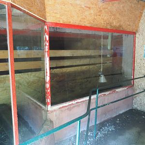 Naff African crested porcupine den, 2019-08-04