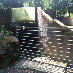 Former viewing area, now flooded and filled with filthy water and crap, 2019-08-04