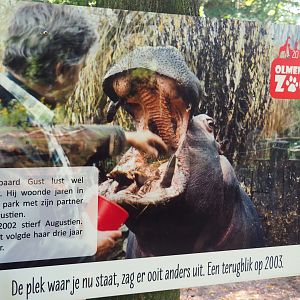 History sign - Former owner with hippopotamus, 2019-08-04