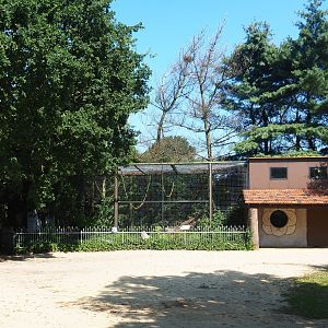 Clouded leopard exhibit and Mantled colobus house, 2019-08-04
