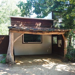 Clouded leopard house, 2019-08-04