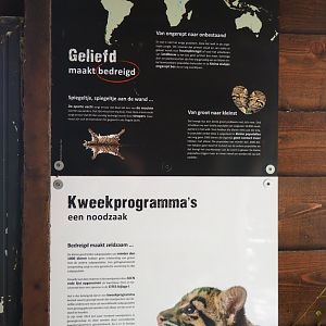 Education sign endangerment of and breeding programs for the clouded leopard, 2019-08-04