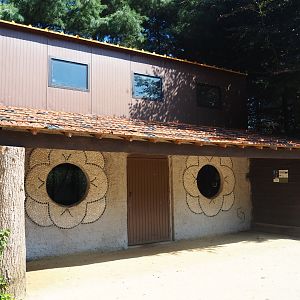 Mantled colobus house, 2019-08-04