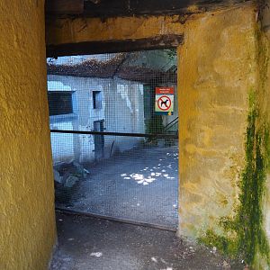 Access to old walk-through aviary, 2019-08-04