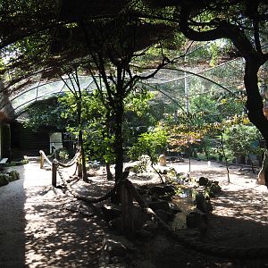 Old walk-through aviary, 2019-08-04
