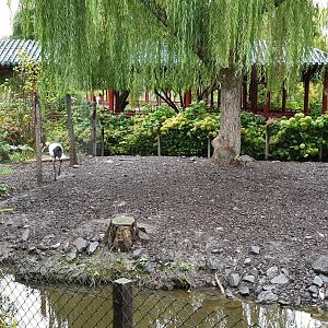 Crane - Deer enclosure