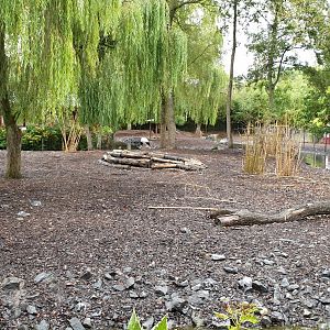 Crane - Deer enclosure