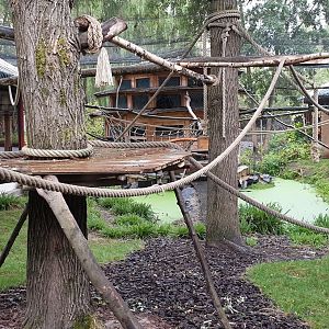 Francois langur enclosure