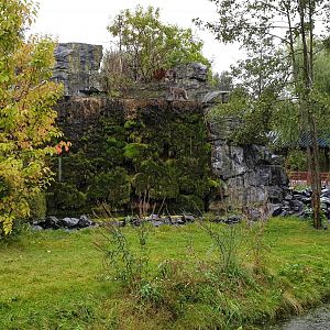 Japanese macaque enclosure
