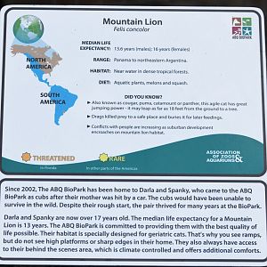 puma sign (glaring mistake)