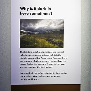 sign explaining antarctic lighting indoors