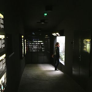 Inside Rakos´ House of Rare Parrots