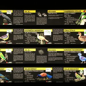 Signage in Rakos´ House of Rare Parrots