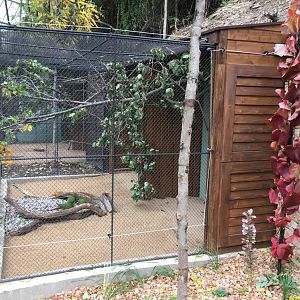 Historical Aviaries near Rakos´ House of Parrots