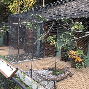 Another look at historical parrot aviaries