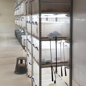 And even more Herp-holding area