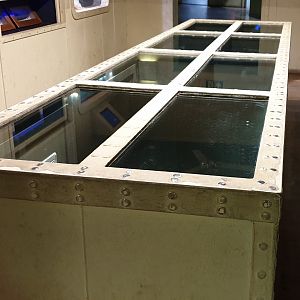 Reptilian enclosures