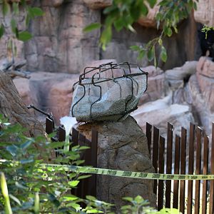 new rock under construction