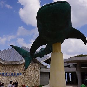 Whale Shark Statue
