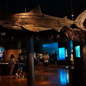 Shark Research Lab