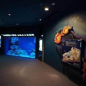 Deep Sea World