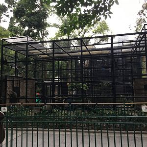 Monkey Exhibit