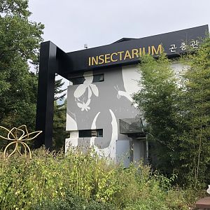 Insectarium