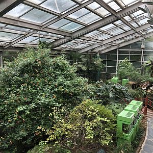 Inside the Insectarium