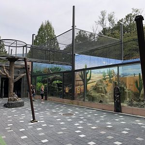 Nocturnal Mammal Outdoor Exhibits