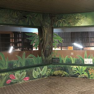 White Rhinoceros Indoor Holding