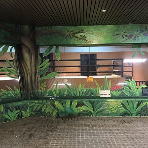 Cape Buffalo Indoor Holding