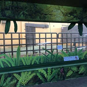 Asian Elephant Indoor Holding